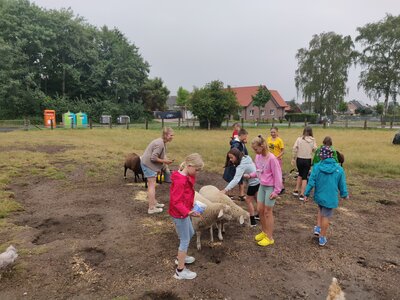 Ferienfreizeit Hof Möllering