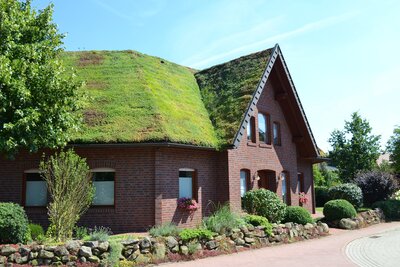 Dachbegrünung