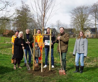 Baum des Jahres 2023