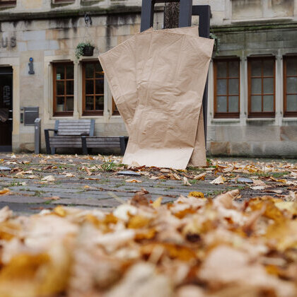 20261027_Grünschnitt_Laub_37596