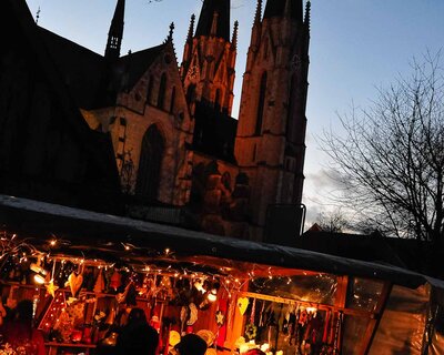 bbweb_bbwm2011_MFA7494_MF - Medienflotte Joachim Albrecht bbweb_bbwm2011_MFA7494_MF