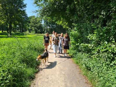 Bild_Spaziergang