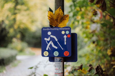 20251015_Nordic_Walking_12641 20251015_Nordic_Walking_12641