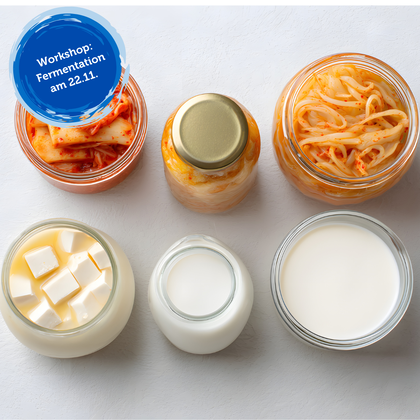 Kachel WebsiteFermentation