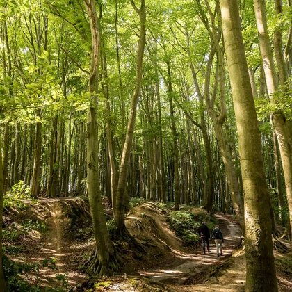 Wandern in den Baumbergen