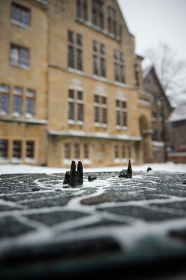 20210207_FFB0123-unbenannte Fotosession - Christian Eschhaus 20210207_FFB0123-unbenannte Fotosession