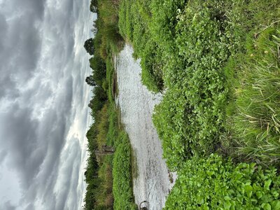 Berkelrenaturierung Flusslauf