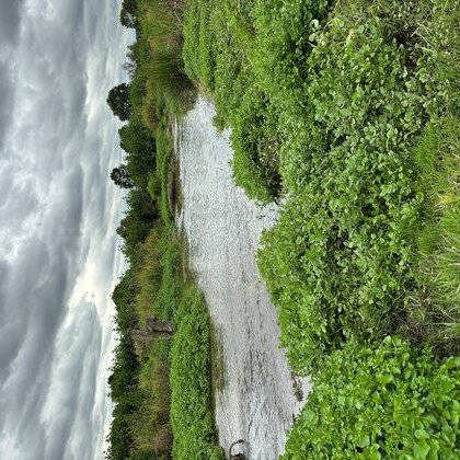 Berkelrenaturierung Flusslauf