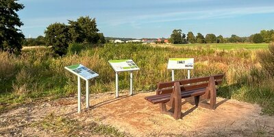 Berkelrenaturierung Infotafeln
