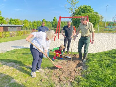 Baum des Jahres 3