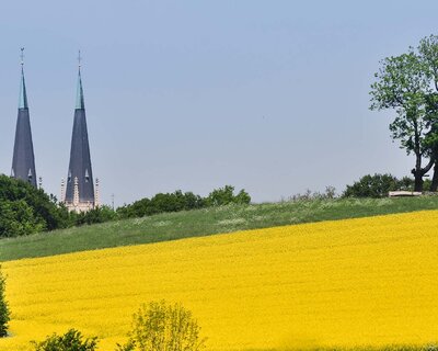 Möllerings Hügel - Joachim Albrecht/Medienflotte Möllerings Hügel