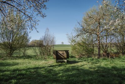 20260415_Möllerings Hügel (CE)_23206
