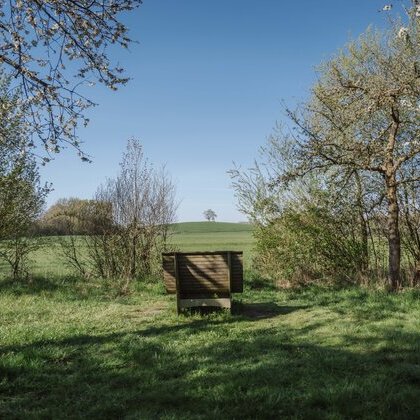 20260415_Möllerings Hügel (CE)_23206