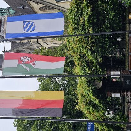 Nationaler Veteranentag 
