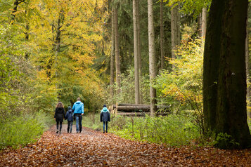 Wandern