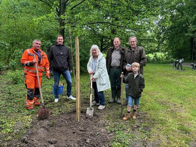 Baum des Jahres 2024 2